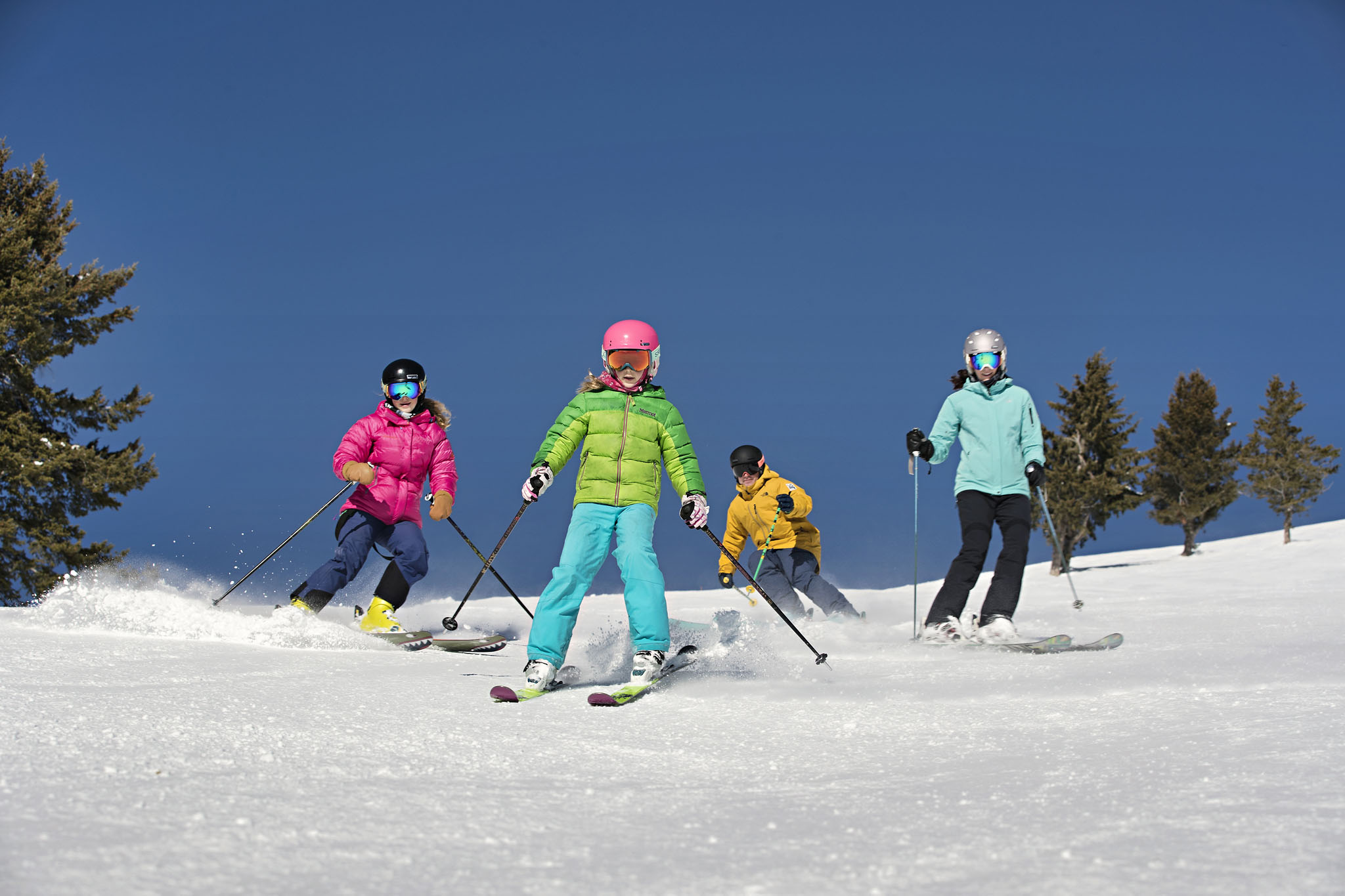 SKI29